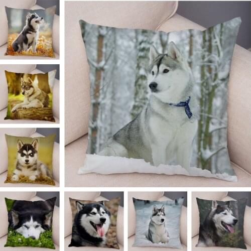 Cute Pet Animal Printed Cushion Cover for Sofa Home Super Soft Plush Decor Siberian Husky Dog Pillow Case 45*45cm Covers