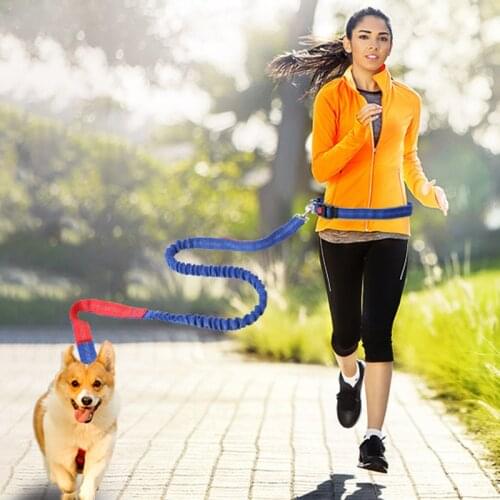 Elastic Waist Dog Leash Free Leash Lead with Reflective Strip Running Jogging Sports Training Retractable Hands Rope