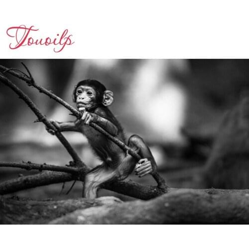 Full,5d Diamond Embroidery,5D,Diamond Painting monkey Cross Stitch spuare&round 3D,Diamond Mosaic patterns,Needlework,Christmas