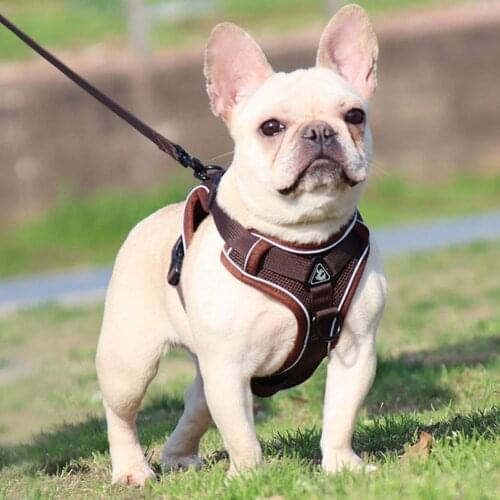 Pet Harness Reflective Walking Safety Sandwich Mesh Dog Safe Chest Strap Walking dog Leash cat Leash Pet Accessories