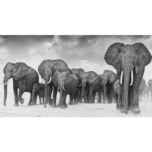 Diamond Mosaic Black and white animal art, elephant herd Picture AB Diamond Painting Cross Stitch Embroidery Needlework Wall Art