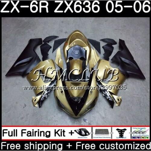 Body For KAWASAKI NINJA ZX 6R 600CC 6 R Champagne new ZX636 2005 2006 55HC.2 ZX-636 ZX6R 05 06 ZX600 ZX 636 ZX-6R 05 06 Fairing