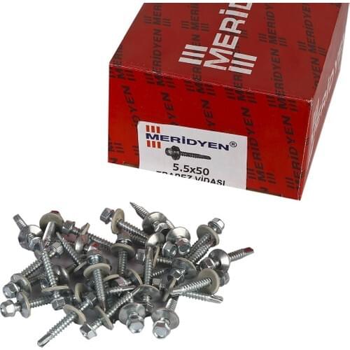Screws MERIDYEN China