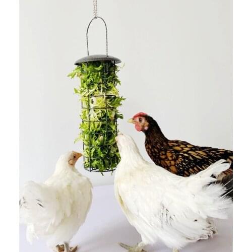 Chicken Feeder Basket Vegetable Fruit Veggie Hanging Coop Hen Feeding Treat Box M68E