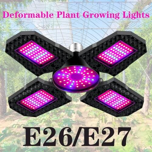 Hyeete Phytolamps For Plants