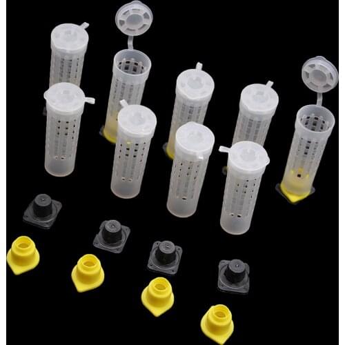 5PCS Beekeeping Bee Plastic Queen Rearing Cage Cup Box Protection Cover Catcher Protective Base Bees Tools Supplies Equipment
