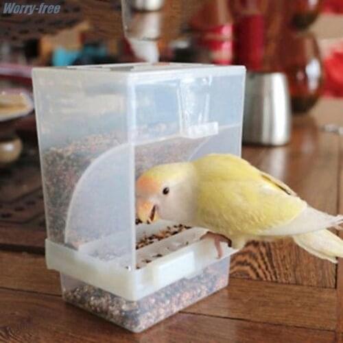Small Size Bird Poultry Feeder Automatic Acrylic Food Container Parrot Pigeon Splash Proof 10x12x7.5CM