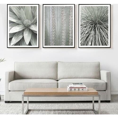 Succulents Canvas Wall Art Prints Victoria Agave Pictures For Living Room Nordic Mexican Grass Tree Posters Modern Home Decor