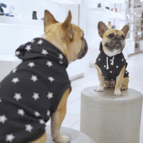 Dog clothes dog hoodie