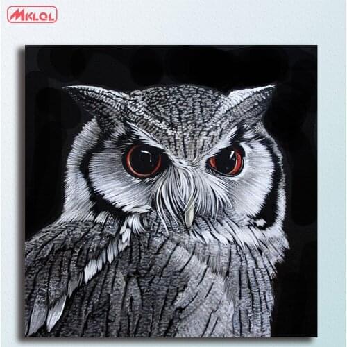 Large white-faced owl Oil Painting Wall Art Picture Paiting Canvas Paints Home Decor Abstract Print Painting Modern Wall Decor