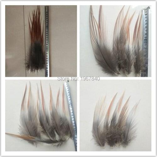 Wholesale natural two-color heron feathers 10-30 cm / 4-12 inches in various sizes rare two-color heron feathers