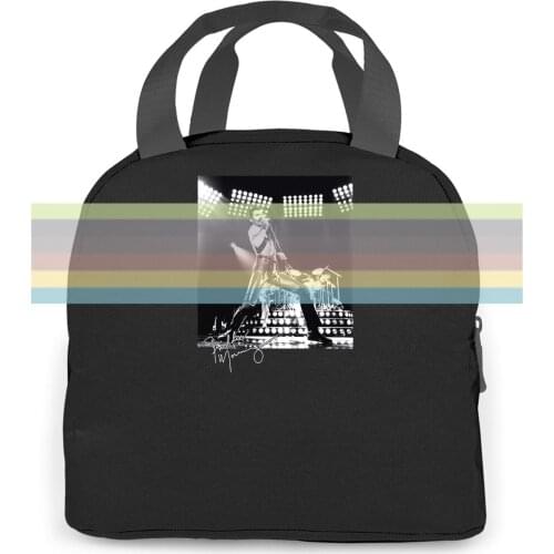 Queen Freddie Mercury Rock Legend Bohemian Rhapsody women men Portable insulated lunch bag adult