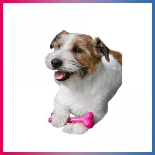 Japan Premium Pet Dog Toys
