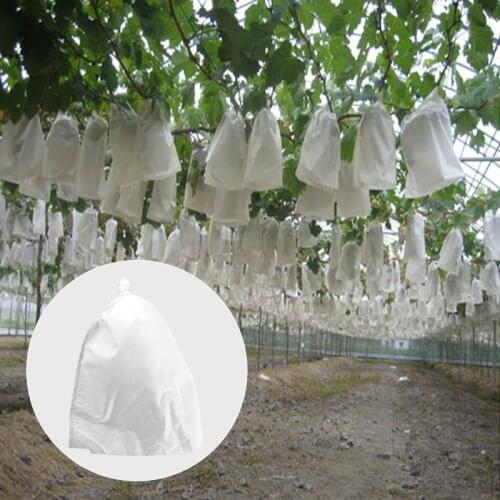 20Pcs Garden Grape Protection Bags For Fruit Vegetable Grapes Mesh Bag Against Insect Pouch Waterproof Pest Control Anti-Bird