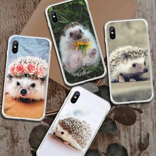 Hedgehog kawaii animal Phone Case Transparent for iPhone 6 7 8 11 12 s mini pro X XS XR MAX Plus