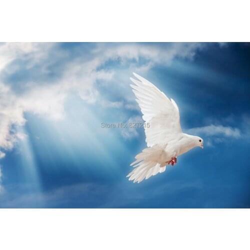 SKB-002 pigeons flying in the sky pvc stretch films similar toceiling tiles for ceiling decoration