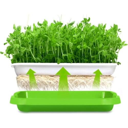 Soilless Nursery Trays Plastic Seedling Starter Tray Double-Layer Plant Seeds Pot For Seeds Sprouter Hydroponic Systems Indoor