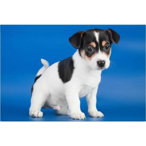 DIY Diamond Painting Cross Stitch Kits full Square Diamond Embroidery Animal dog Diamond Mosaic Pattern Needlework Crafts