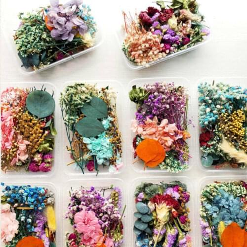 1 Box Real Dried Flower Dry Plants For Aromatherapy Candle Epoxy Resin Pendant Necklace Jewelry Making Craft DIY Accessories