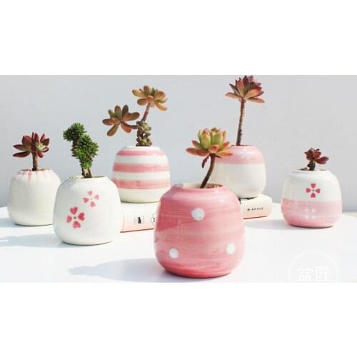 Girl Feelings Series Pink Thumb Basin Hand-painted Succulent Pot Succulent Plant Container Flower Ware Valentines Day Gift