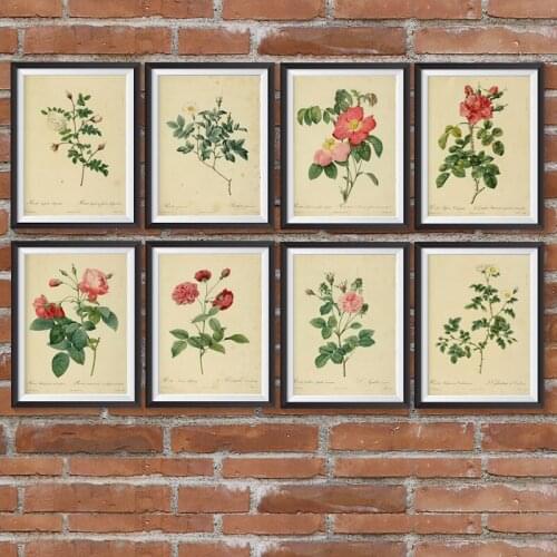 Botanical Poster Vintage Flower Plant Wall Pictures Ancient Vegetation Diagram Illustration Wall Art Canvas Painting For Bedroom