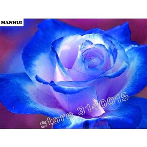 5d diy diamond embroidery Roses flower diamond painting Cross Stitch full square drill Rhinestone mosaic decoration BEC103