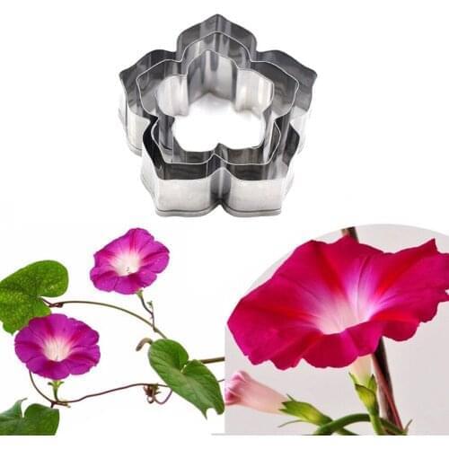 Wholesale 10 Sets(2 pcs/set) Morning glory Cutters Stainless Steel Candy Biscuit Fondant Cookie Cutters Cake Decorating Tools