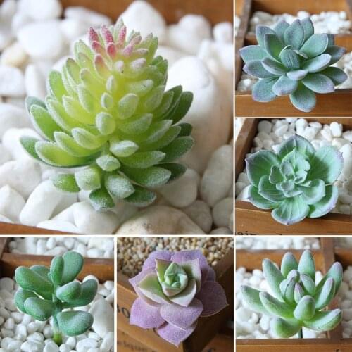 New Hot Sale 1Pc Plastic Fake Artificial Succulents Plant Bonsai Garden Home Office Decor