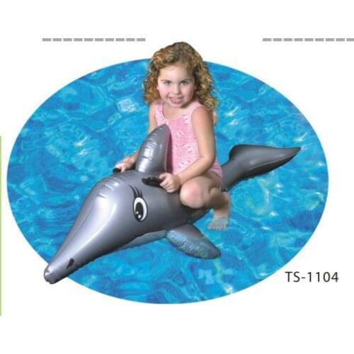 Silver Dolphins Riding 137cm