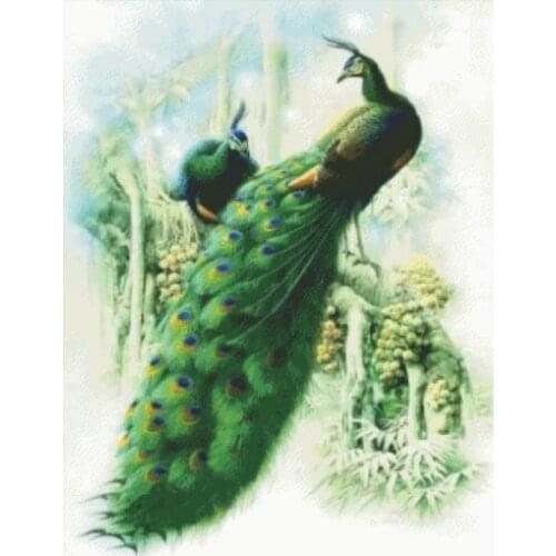 Top Quality lovely counted cross stitch kit peacock two peacocks