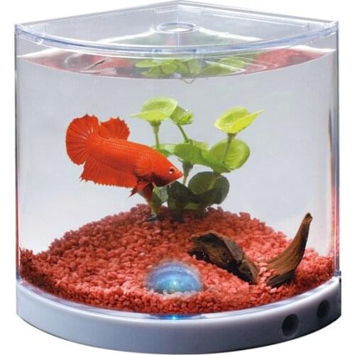 Dophin Mini Betta Tank Betalık