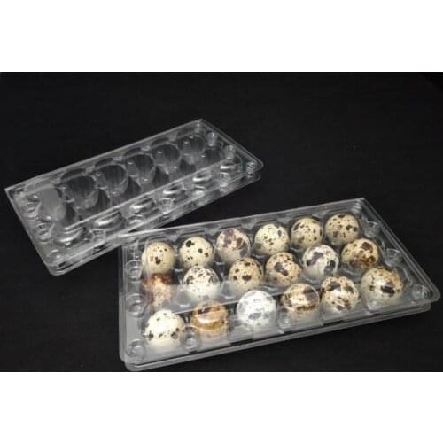 1000pcs/lot 18 Holes 198*41*133cm Quail Eggs Container Plastic Clear Egg Packing Storage Boxes Wholesale Free Shipping SN1388