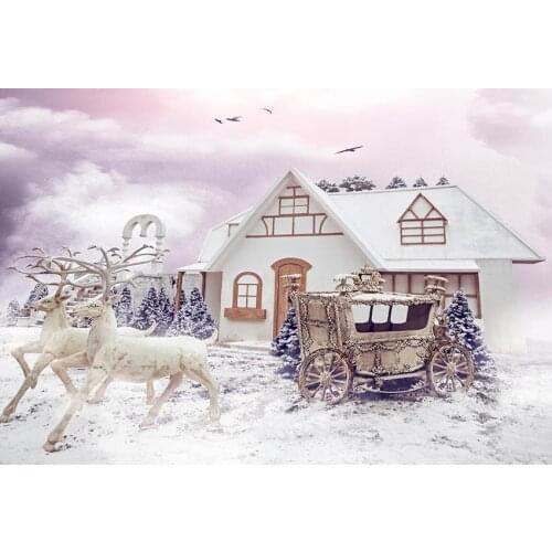 Vintage carriage background photography vinyl child birthday winter photo backdrops for photo studio props fotografia lv-2448