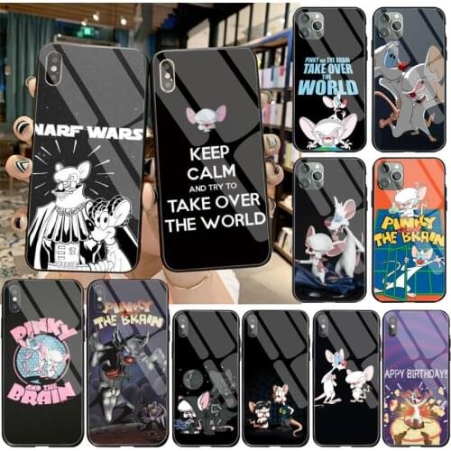 Cartoon Movie Pinky And The Brain Phone Case Capa Tempered Glass For iPhone 11 Pro XR XS MAX 8 X 7 6S 6 Plus SE 2020 case