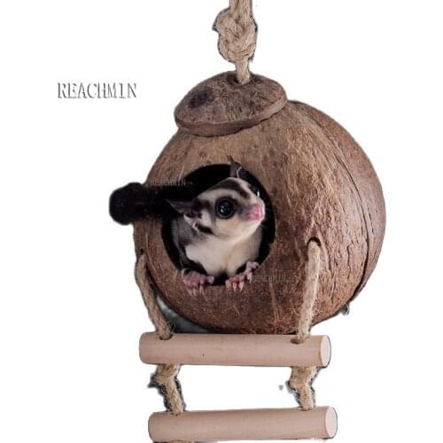 Natural Coconut Shell Hamster Nest Small Animal Pet Cave Nest Hiding Cage Syrian Hamster Erinaceinae Nest House Chew Toys