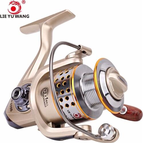 LIEYUWANG Spinning Fishing Reel 13 Ball Bearings Carretilha Pesca Left/Right Handle Gear Ratio 5.2:1 High Speed Spinning Reels