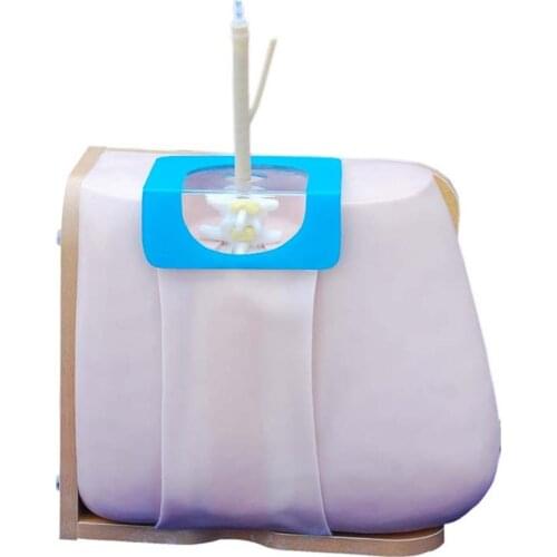 Lumbar Puncture Medical education manikin Nursing skills Training simulation