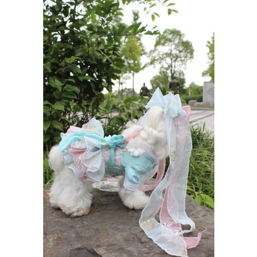 Handmade Dog Clothes Ancientry Hanfu pet hanfu blue and pink Butterfly Flutters hanfu Dress fit model