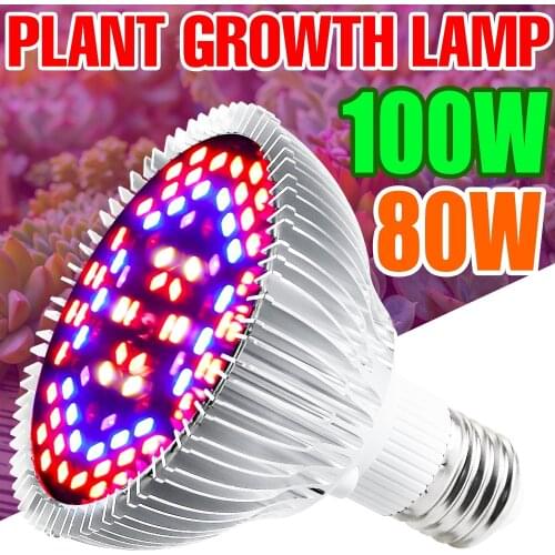 220V E27 Plant Bulbs LED Grow Light 110V Fitolampy Full Spectrum Indoor E14 Phytolamps 18W 28W 30W 50W 80W 100W LED Vegs Flower