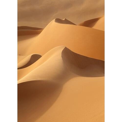 Sand Desert Scenery Photo Backdrop Vinyl Cloth Photobooth Background for Baby Children Portrait Photoshoot Photography Props