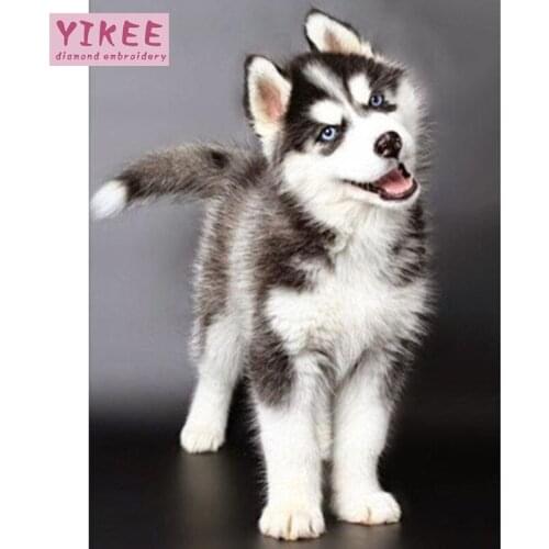 5d diamond mosaic,dog,diamond full painting,diamond painting husky