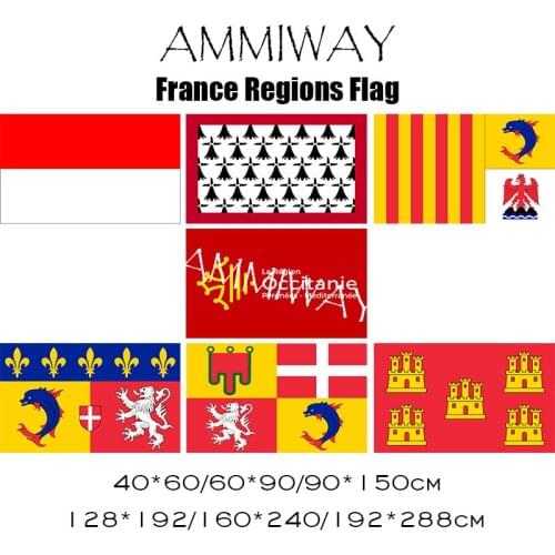 AMMIWAY France Alsace Limousin Alpes Cote dAzur Auvergne Rhone Alpes Poitou Charentes Occitanie Perpiny Variation French Flags
