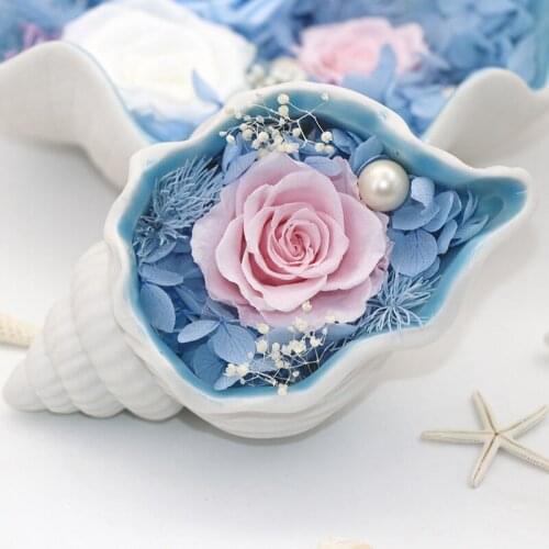 Ceramic Conch Creative Nordic Ornaments Eternal Flower Small Conch TV Cabinet Living Room Porch Decorations Home Decor Gift