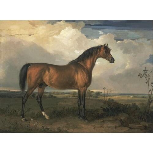 Details about high quality 36x24 oil painting handpainted on canvas "a horse"