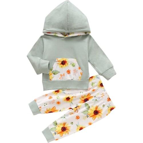 Two Piece Baby Girls Casual Sets Long Sleeve Pocket Hooded Sweatshirt Print Pants Infant Newborn Girl Outfit Baby Clothing 0-24M