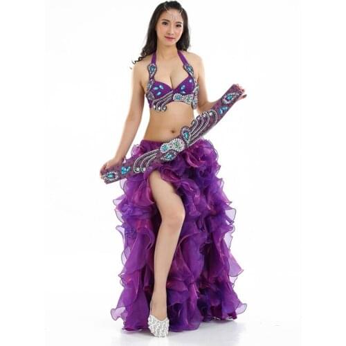 3pcs/set Professional Belly Dance Costume Full Set Bra Top+hip Belt+Skirt Belly Dance Costume Bufandas Egyptian Lingerie