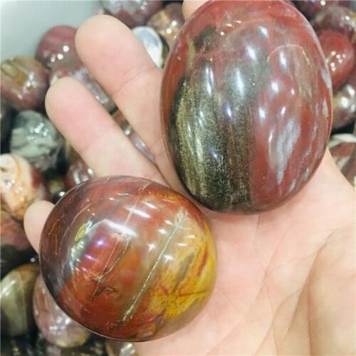 100g Natural crystal Petrified woodPlay with the stone stone rolling palmetto stone treatment 1pcs