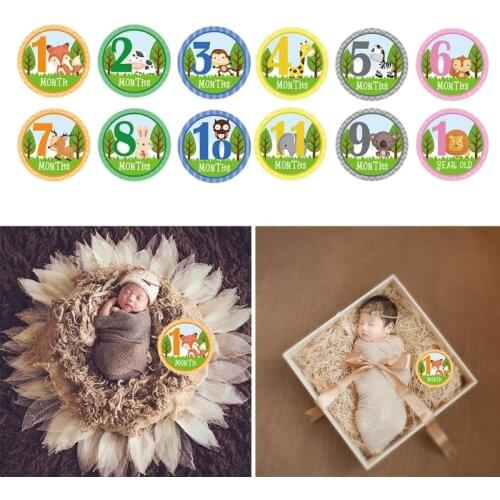 12 Pcs/Set Cartoon Animal Baby Monthly Stickers Milestone Memorial Month Sticker M76C