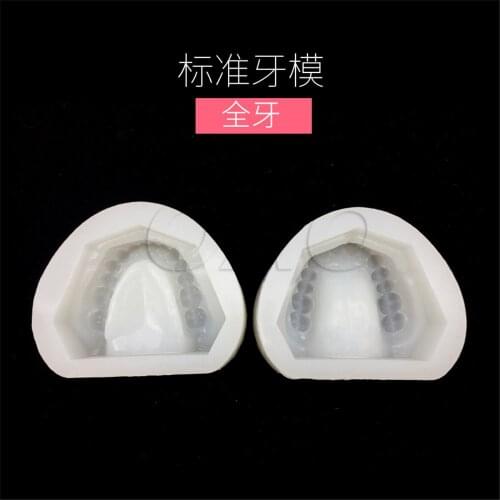 2pc/set Dental Plaster Model Mold Mould of Edentulous Jaw Complete Cavity Block Full teeth