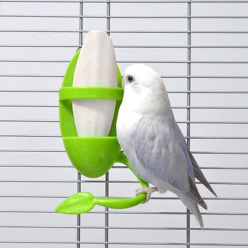 Parrot Feeder with Standing Rack Fruit Vegetable Holder Plastic Hanging Food Container Cage Accessories Pet Bird Supplies